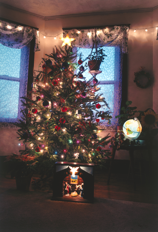 Christmas Tree, Somerville, Massachusetts (Getty Museum) Christmas Tree, Somerville, Massachusetts. No description of this image is available. - Christmas Tree, Somerville, Massachusetts (Getty Museum)