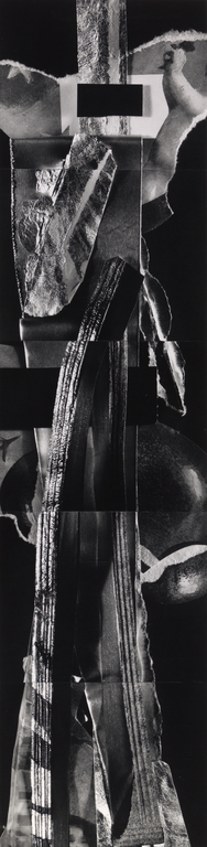 Untitled (Quintet 48-49-50-51-52); Carl Chiarenza (American, born 1935); 1995; Gelatin silver print; 185.4 × 45.7 cm (73 × 18 in.); 2003.505; Gift of Heidi Katz in memory of her mother, Anneliese Baur Katz; Copyright: © Carl Chiarenza No description of this image is available.