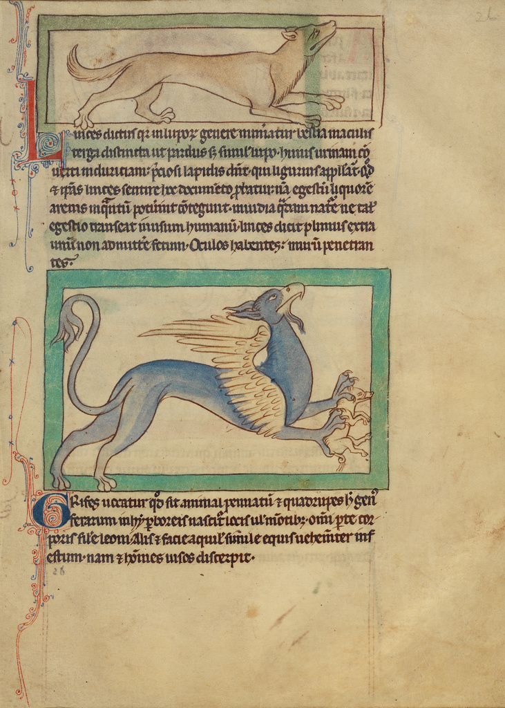 A Lynx; A Griffin; Unknown; about 1250 - 1260; Pen-and-ink drawings tinted with body color and translucent washes on parchment; Leaf: 21 × 15.7 cm (8 1/4 × 6 3/16 in.); Ms. 100 (2007.16), fol. 26; Rights Statement: No Copyright - United States A Lynx; A Griffin; Unknown; about 1250 - 1260; Pen-and-ink drawings tinted with body color and translucent washes on parchment; Leaf: 21 × 15.7 cm (8 1/4 × 6 3/16 in.); Ms. 100 (2007.16), fol. 26; Rights Statement: No Copyright - United States