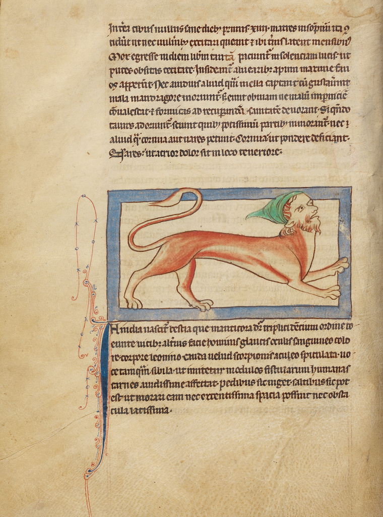 A Manticore; Unknown; England; about 1250 - 1260; Pen-and-ink drawings tinted with body color and translucent washes on parchment; Leaf: 21 x 15.7 cm (8 1/4 x 6 3/16 in.); Ms. 100, fol. 27v No description of this image is available.