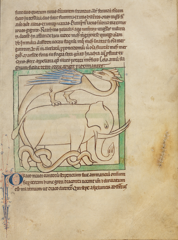 A Dragon; Unknown; England, Europe; about 1250 - 1260; Pen-and-ink drawings tinted with body color and translucent washes on parchment; Leaf: 21 × 15.7 cm (8 1/4 × 6 3/16 in.); Ms. 100, fol. 54 No description of this image is available.