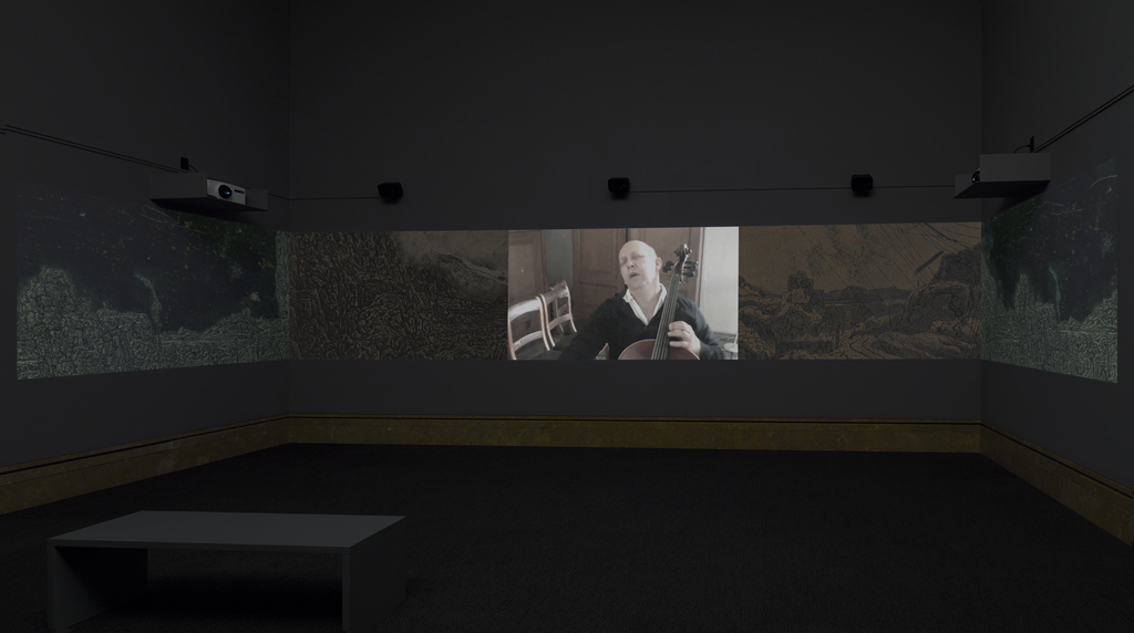 Hearsay of the Soul; Werner Herzog (German, born 1942), Music by and featuring Ernst Reijseger (Dutch, born 1954), Music featuring Harmen Fraanje, et al; United States; 2012; Five-channel video installation; Running time: 18 minutes; 2013.2; Copyright: © Werner Herzog No description of this image is available.