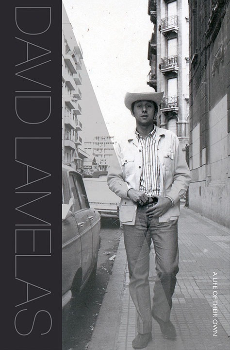 David Lamelas book cover