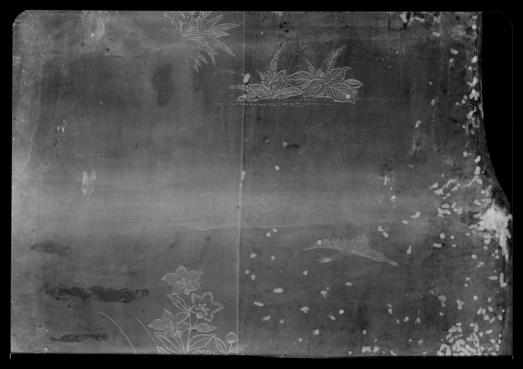 black and white x-ray of the left side of the middle register, revealing a number of small white dots that represent insect damage and the subsequent attempts to restore the damage with putty