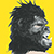 Guerrilla Girls Archive Guerrilla Girls Archive