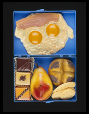 False Food Selection / Oldenburg