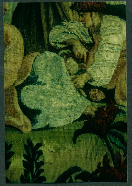 The Pineapple Pickers