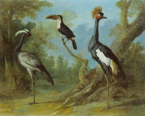 Demoiselle Crane, Toucan, and Tufted Crane / Oudry
