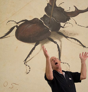 Jim Cogan telling stories in front of Durer's Beetle