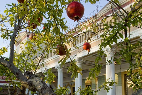 Gardens at the Getty Villa