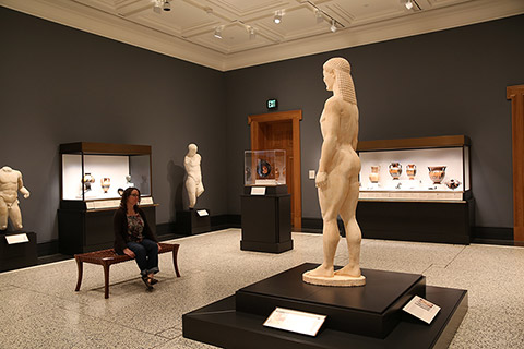 Athletes and Competition Gallery