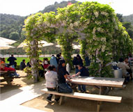 Getty Center Picnic Area