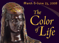 Color of Life
