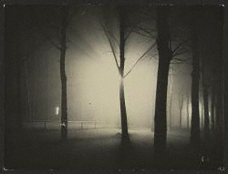 Untitled [Night View of Trees]/Feininger