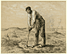Man with a Hoe / Millet