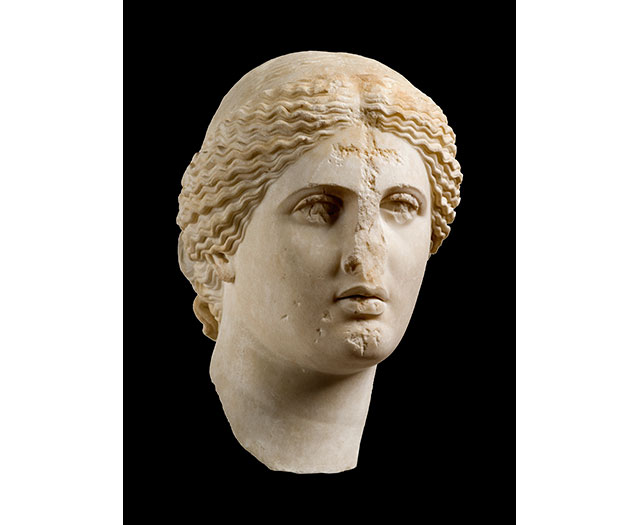 Head of Aphrodite