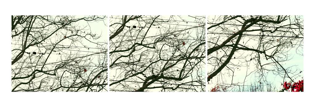 本 Uta Barth 写真集 White Blind (Bright Red)