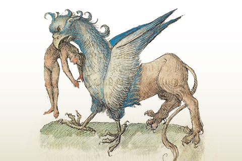 The Monstrous Ant of the Medieval Bestiary