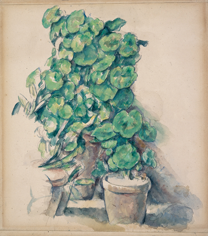 Geraniums / Cézanne