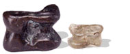 Knucklebones