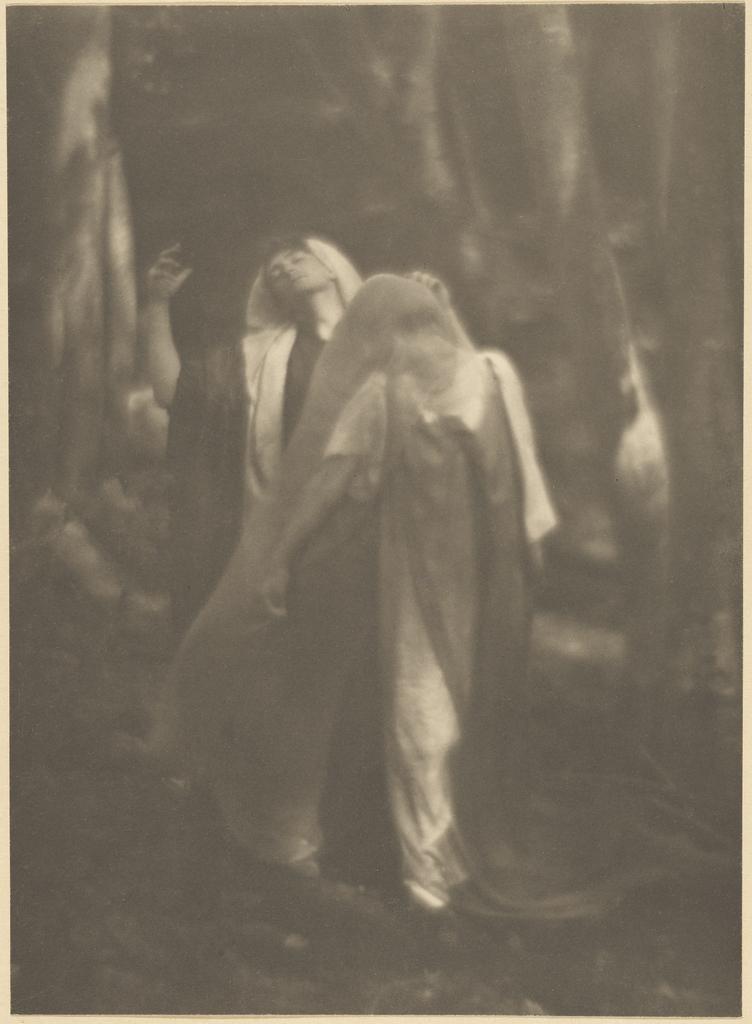 Wood Beyond the World 1, 1910, Imogen Cunningham. Platinum print. Getty Museum. © The Imogen Cunningham Trust