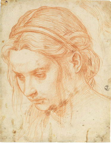 Study of the Head of a Young Woman