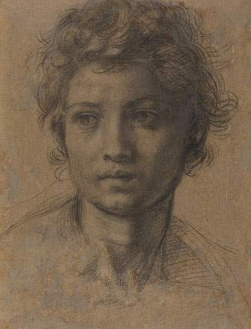 Study for the Head of Saint John the Baptist