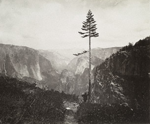 The Valley, from the Mariposa Trail, No. 20 / C. L. Weed