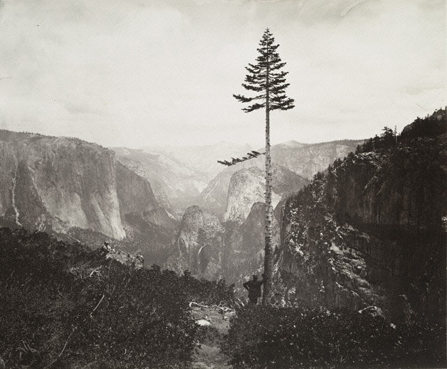The Valley, from the Mariposa Trail, No. 20 / C.L. Weed