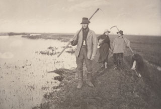 Coming Home from the Marshes / P.H. Emerson