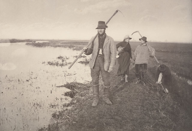 Coming Home from the Marshes / P.H. Emerson