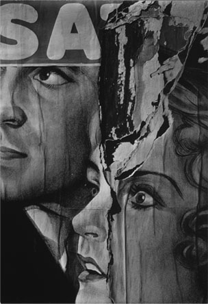 Torn Movie Poster / Evans
