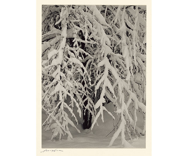 Yosemite Valley, Winter