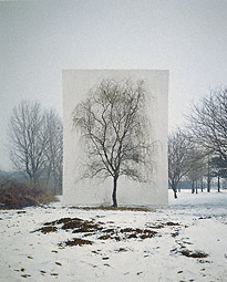 Tree #3 / Myoung Ho Lee