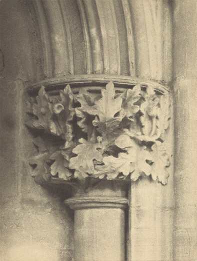 Southwell Cathedral: Chapter House Capital / F. Evans