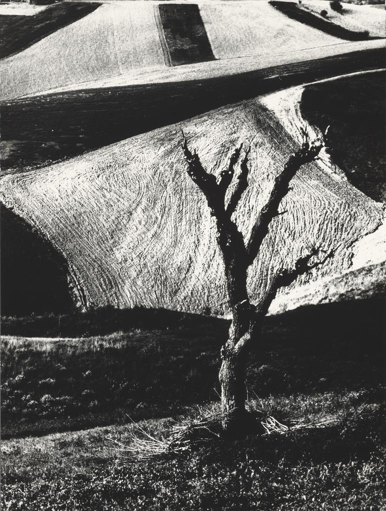 Mario Giacomelli: Figure/Ground Mario Giacomelli: Figure/Ground