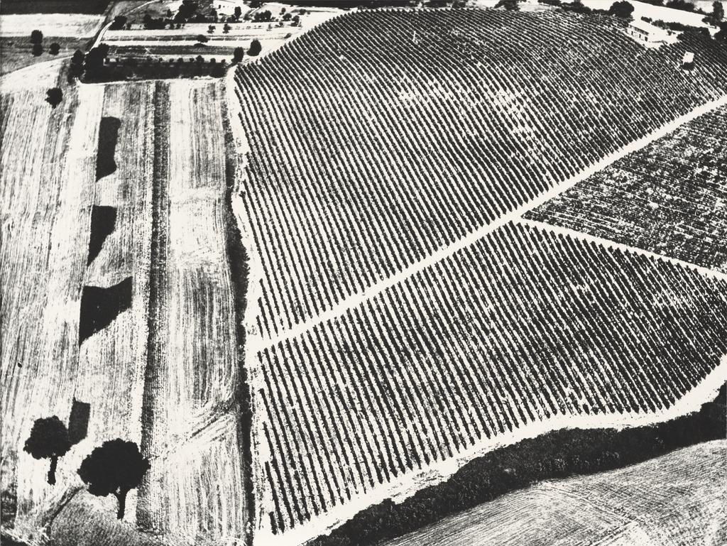 Awareness of Nature, No. 38, 1977–78; printed 1981, Mario Giacomelli, gelatin silver print. The J. Paul Getty Museum, Gift of Daniel Greenberg and Susan Steinhauser. Reproduced courtesy Mario Giacomelli Archive © Rita and Simone Giacomelli