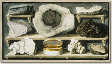Stone specimens found by Hamilton on Mount Vesuvius