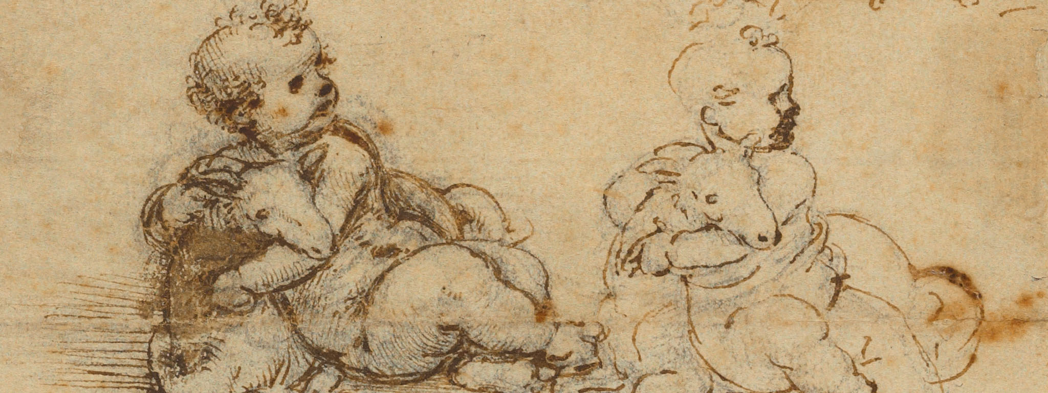 Studies of the Christ Child with a Lamb (detail), about 1503-6, Leonardo da Vinci; black chalk, pen, and brown ink. The J. Paul Getty Museum
