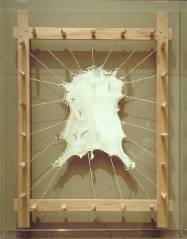 Parchment Making (modern)