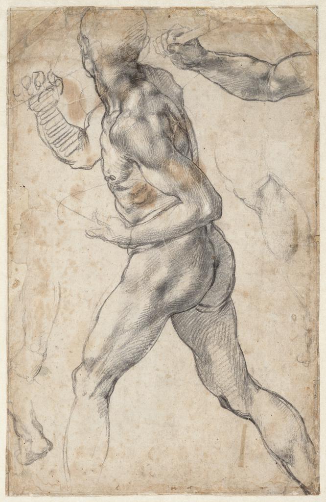 Michelangelo Drawings  Discovering da Vinci