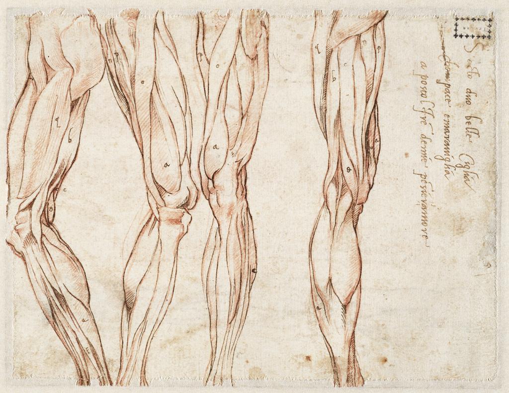 One of Michelangelo's sketches for the fortifications of Florence, Casa...  | Download Scientific Diagram