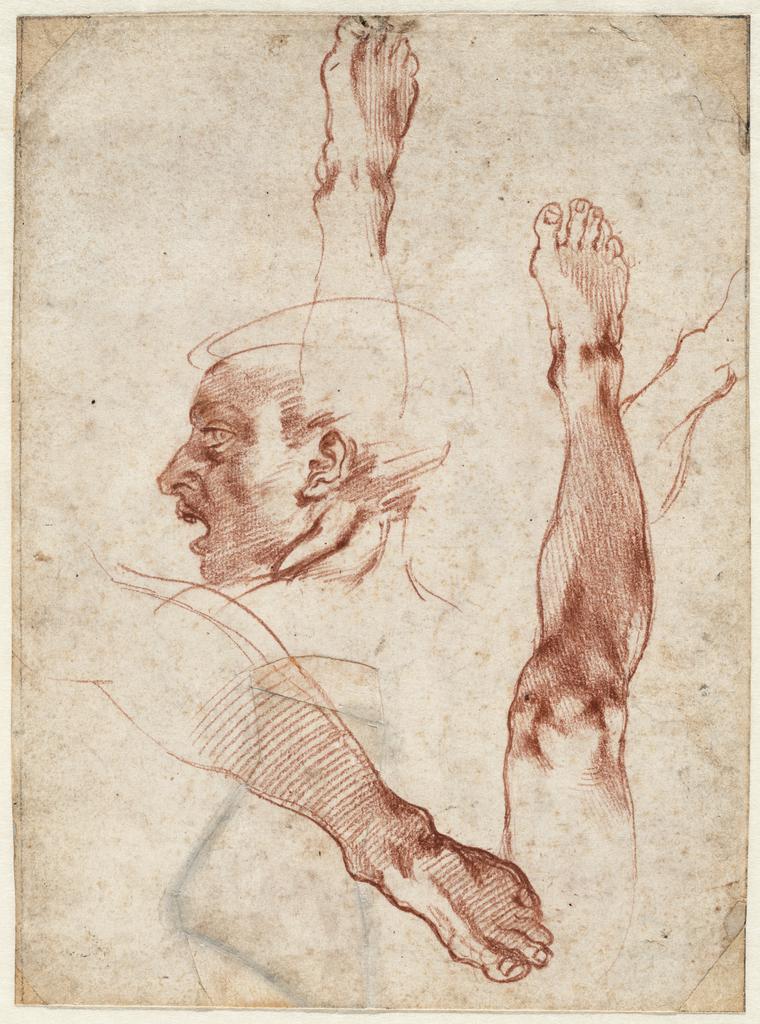 Male Head in Profile; Studies of Legs and Feet, 1511, Michelangelo Buonarroti, red chalk. Teylers Museum, Haarlem. Purchased in 1790. © Teylers Museum, Haarlem
