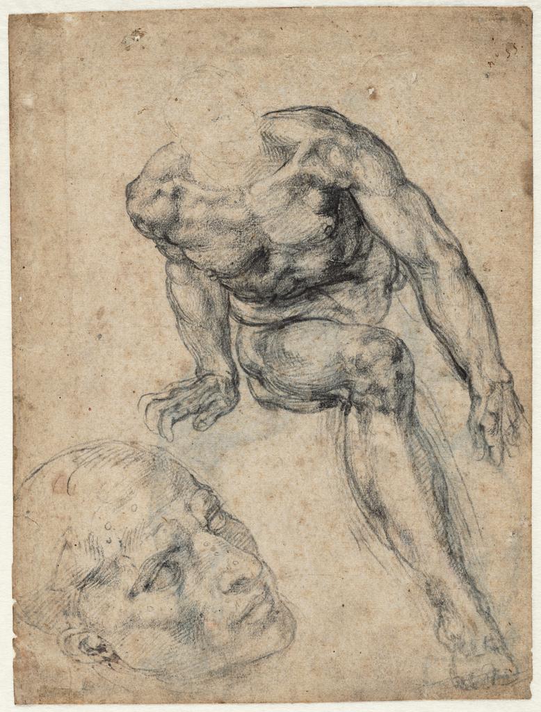 A Male Nude; Separate Study of His Head, about 1537–38, Michelangelo Buonarroti, black chalk. Teylers Museum, Haarlem. Purchased in 1790. © Teylers Museum, Haarlem