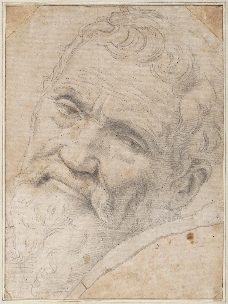 Portrait of Michelangelo Buonarroti, about 1550–51, Daniele da Volterra (Daniele Ricciarelli), leadpoint and black chalk with traces of white heightening; outlines pricked for transfer. Teylers Museum, Haarlem. Purchased in 1790. © Teylers Museum, Haarlem