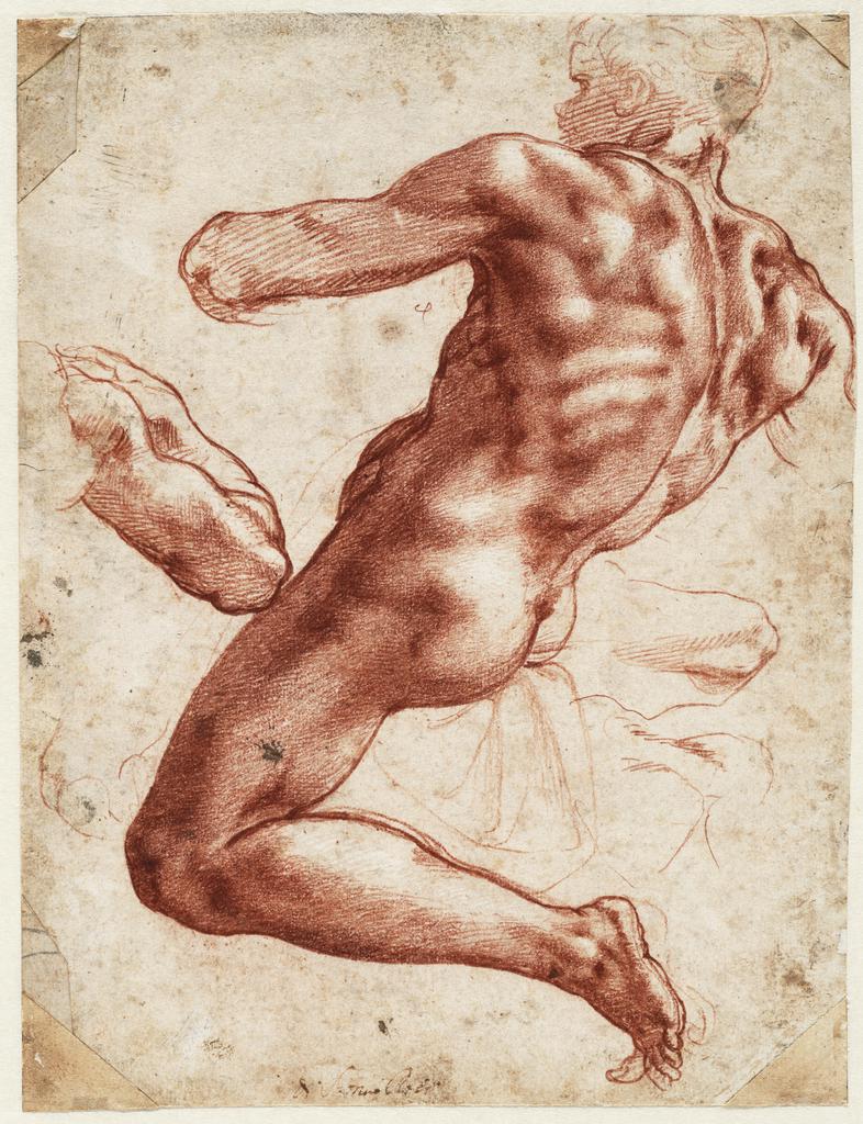 洋書 ミケランジェロ MICHELANGELO DRAWINGS MICHELANGELO DRAWINGS /ANGLAIS: Hugo Chapman: 9780714126401