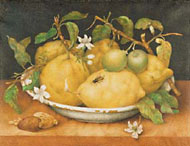 Still Life with Citrons / Garzoni