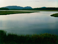 Tidal Marsh / Porter