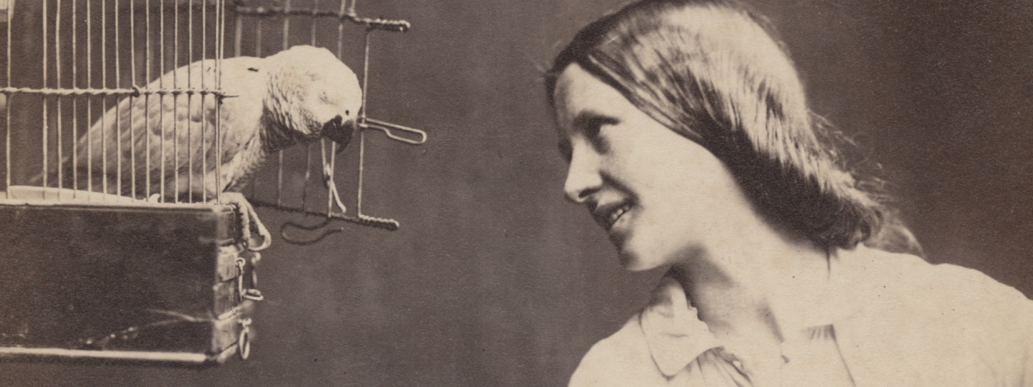 Enchanted by a Parrot (Mary Rejlander?) (detail), about 1860, Oscar Rejlander, albumen silver print. William Talbott Hillman Collection, New York. Photo: Hans P. Kraus, Jr., New York