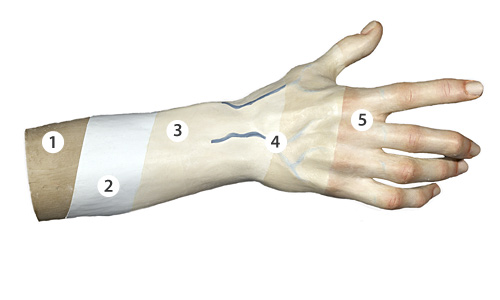 Schematic showing layers of encarnaciones on Luisa Roldan's Saint Gines de la Jara